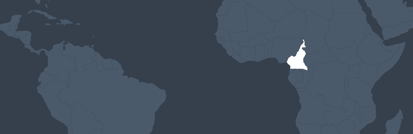 Cameroon visual data 3