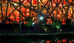 Bird's Nest