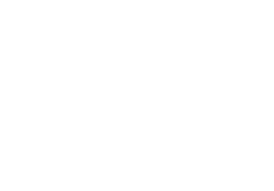 Democracy Task Force partners logo